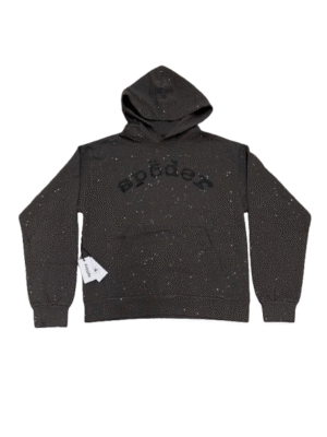 IMG_3448-removebg-preview Sp5der Worldwide VVS Hoodie Grey